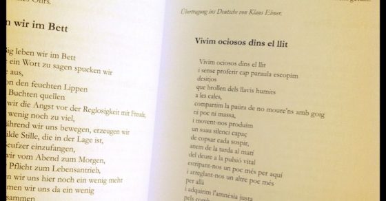 Poemas de Roser Amills incluidos en la antologia contra el cancer Terapia de amigos