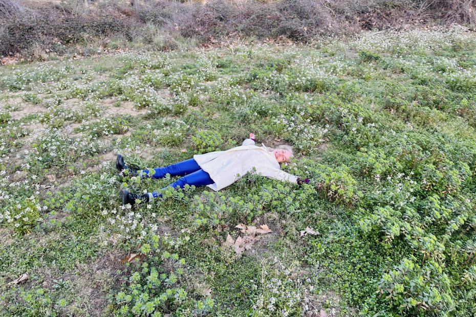 Retrato De Roser Amills Escritora Mallorquina Tumbada En El Campo