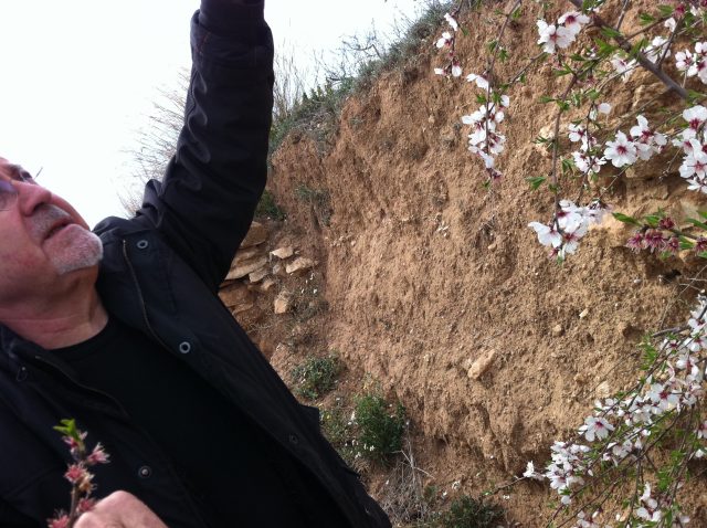 Bigas Luna alcanza una rama de almendro en flor en un talud de tierra