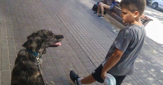 juan, el hijo de roser amills, y Muku, el perro de Merche