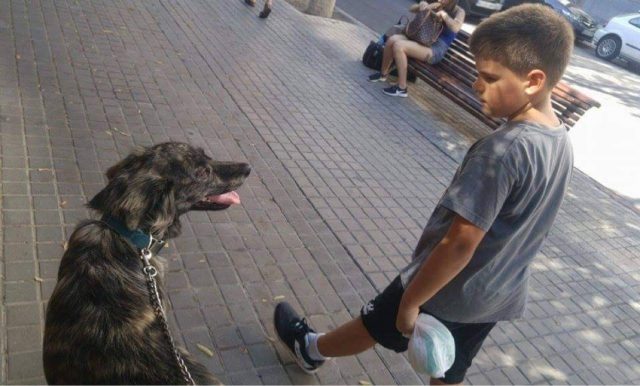 juan, el hijo de roser amills, y Muku, el perro de Merche