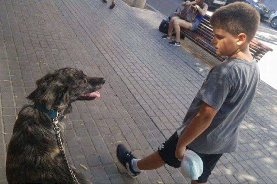 juan, el hijo de roser amills, y Muku, el perro de Merche