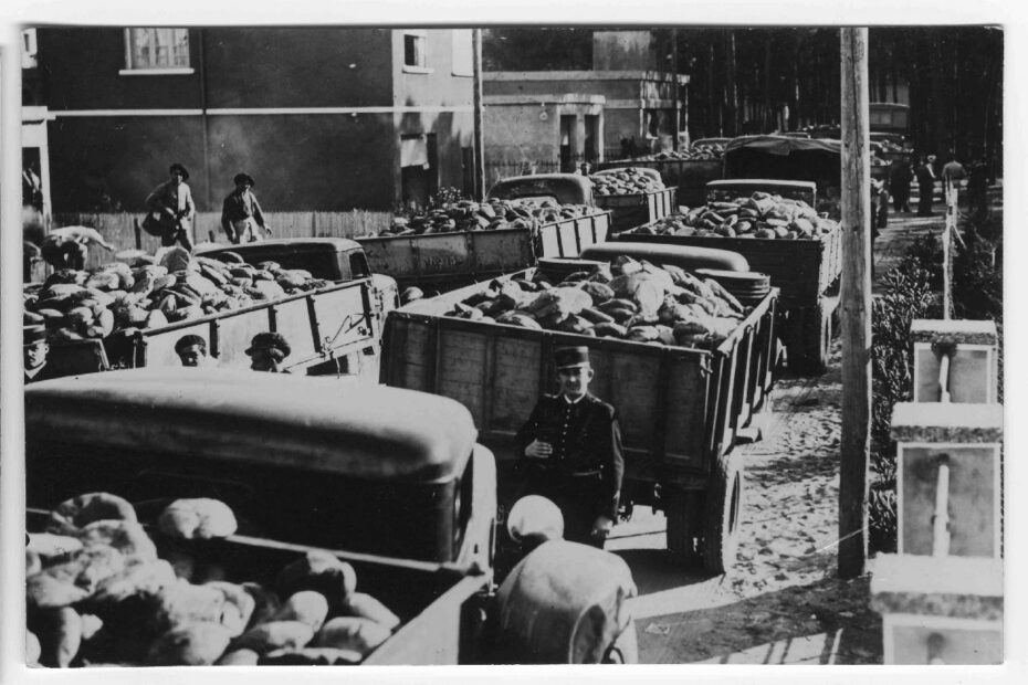 Una fila de camiones cargados de hogazas de pan, vigilados por un gendarme, para los refugiados españoles de Argelès en 1939
