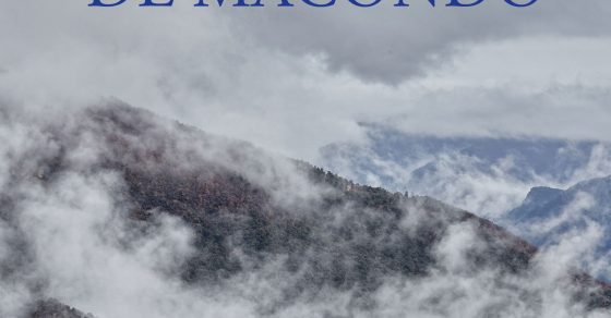 El librero de Macondo