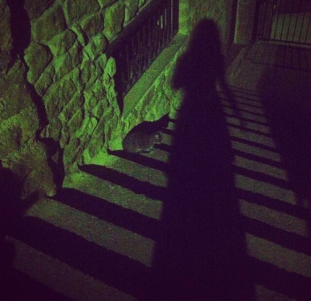 La sombra de Roser Amills junto a un gato sobre unas escaleras iluminadas de verde, de noche