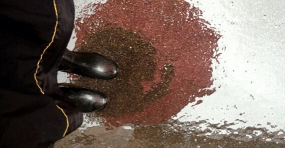 Zapatos negros sobre el asfalto mojado de una calle de Barcelona