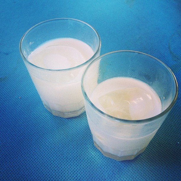 Dos vasos de licor de arroz de las Terres de l'Ebre
