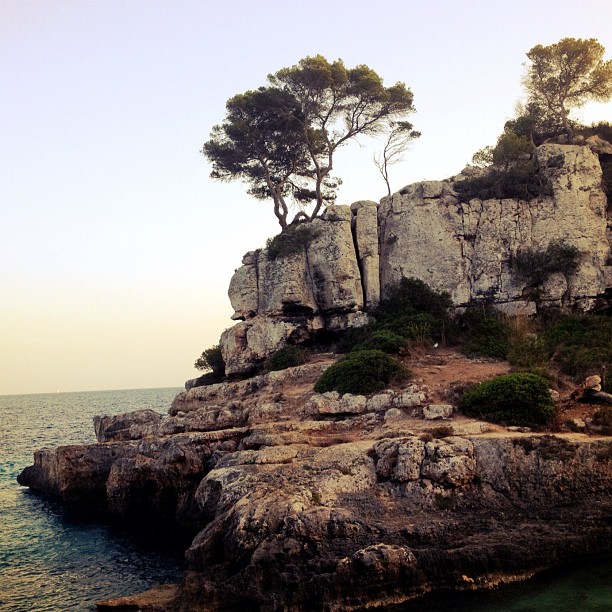 Islote rocoso con pinos junto al mar, en una cala de Mallorca, al atardecer