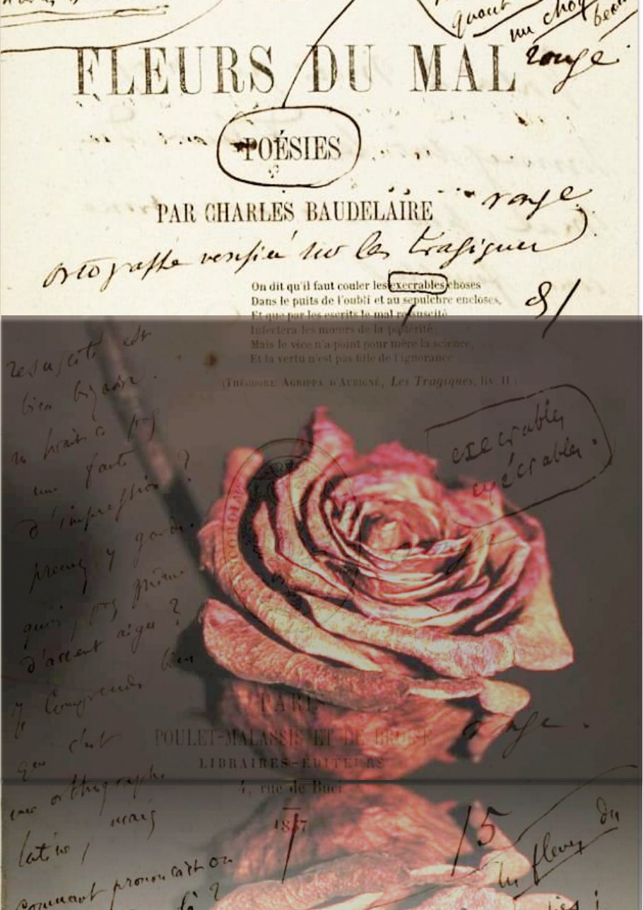 Portada del guion teatral de Fleurs du mal