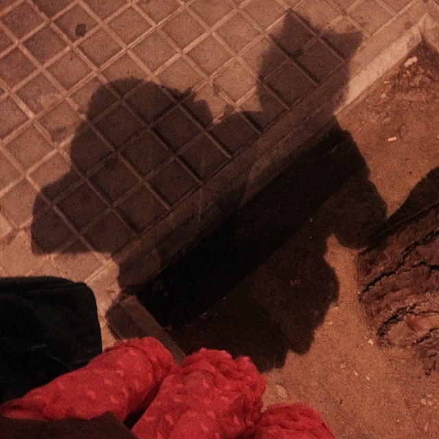 Sombra de una cabeza con orejas de gato proyectada en el suelo, junto a una bufanda roja