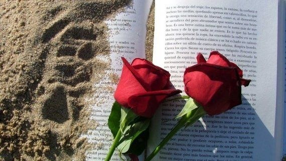 Dos rosas rojas sobre un libro abierto apoyado en la arena